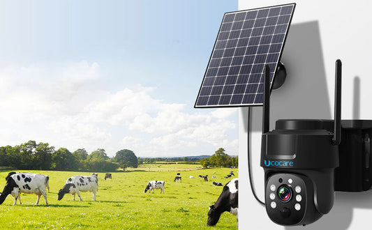 2025 Smart Home Security Trends: The Newest Innovations in Video Doorbells & Security Cameras